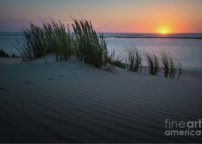 Natural Environment Greeting Card featuring the photograph Sunset At The Dunes by Hannes Cmarits