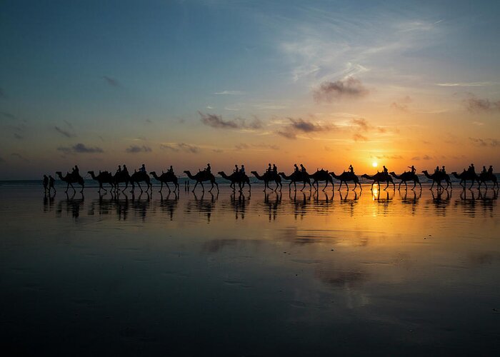 Camels Greeting Card featuring the photograph Sunset In Broome by Louise Wolbers