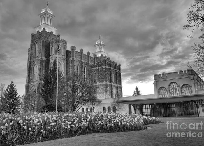 Logan Temple Greeting Card featuring the photograph Sunset Over The Logan Temple Grounds Black And White by Adam Jewell
