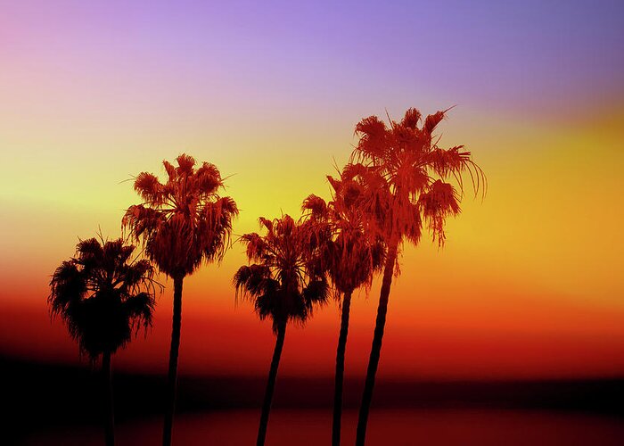 Palm Trees Greeting Card featuring the photograph Sunset Palm Trees- Art by Linda Woods by Linda Woods