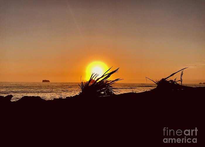 Beach Greeting Card featuring the photograph Sunset Through Grass by LeLa Becker