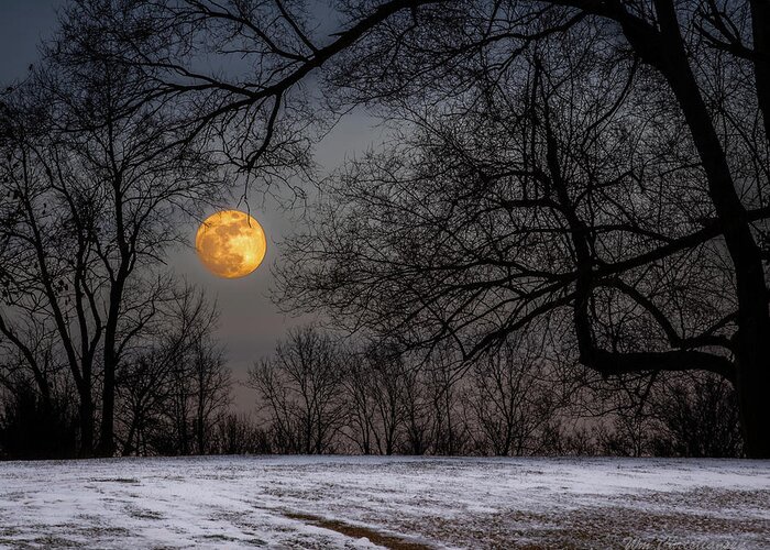 Second Full Moon Greeting Card featuring the photograph Super Blue Moon Rising 3 by William Christiansen