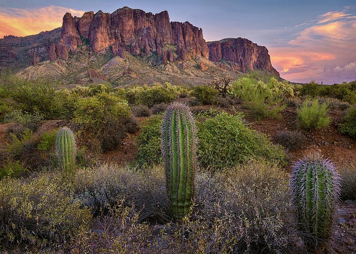 Superstition Mountains Greeting Card featuring the photograph Superstitions and Cactus at Lost Dutchman by Dave Dilli