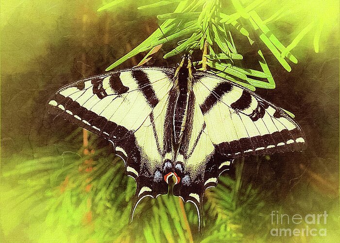 Mona Stut Greeting Card featuring the digital art Tiger Swallow Tail Papilio Natural Habitat by Mona Stut