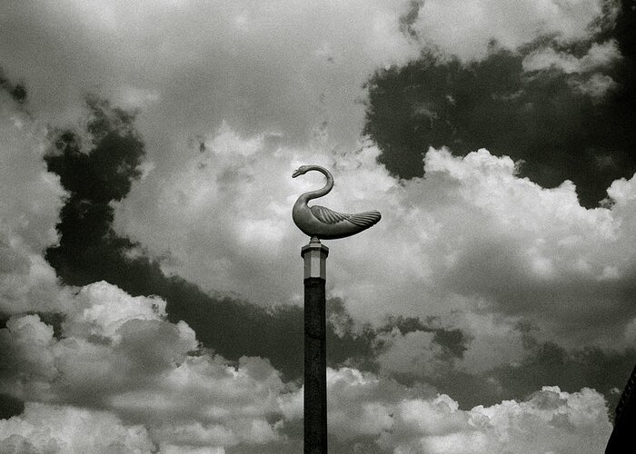 Inspiration Greeting Card featuring the photograph Swan And Clouds In Bangkok by Shaun Higson