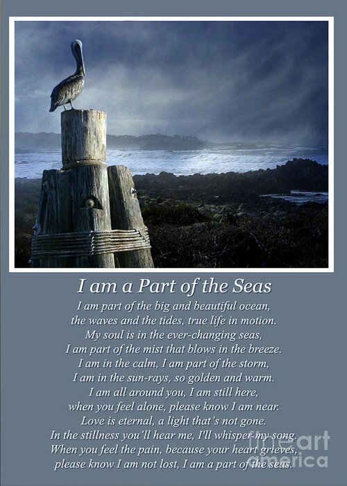 Sympathy Greeting Card featuring the photograph Sympathy Grieving Burial At Sea Spiritual Poem by Stephanie Laird