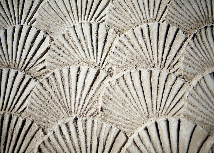 Seoul Greeting Card featuring the photograph Texture Sea Shells by Derek Winchester