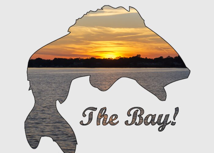 2d Greeting Card featuring the photograph The Bay by Brian Wallace