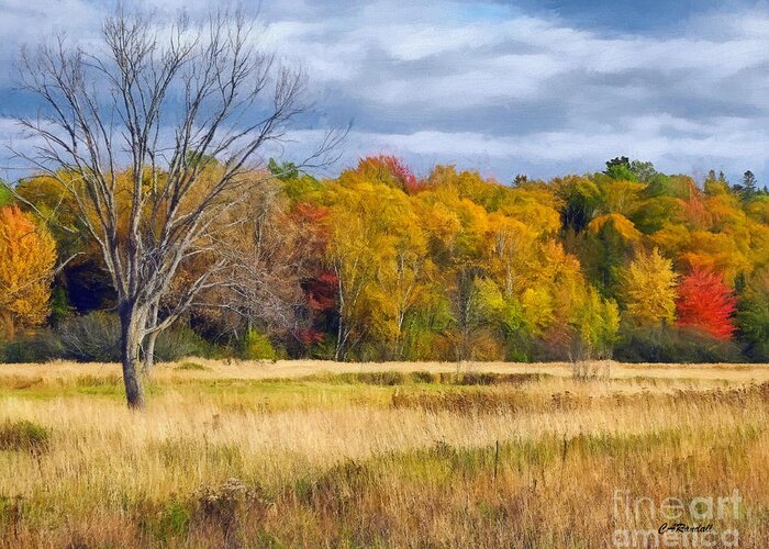Autumn Greeting Card featuring the photograph Barely Alone in Autumn by Carol Randall