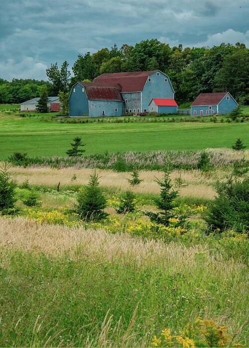 Pei Greeting Card featuring the photograph The Blue Barn, Vertical by Marcy Wielfaert