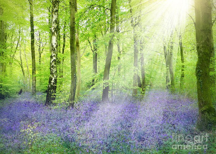 Bluebells Greeting Card featuring the pyrography The Bluebell Woods by Morag Bates