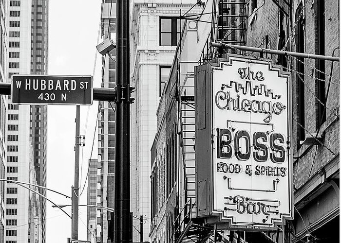 Chicago Greeting Card featuring the photograph The Boss by Lenore Locken