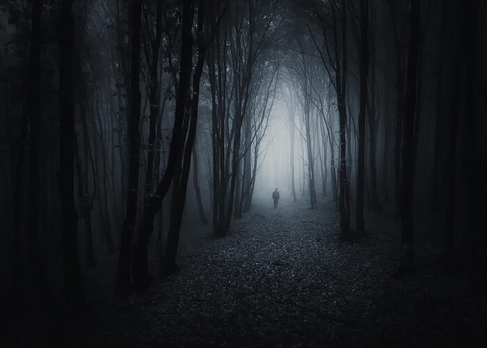 Mystery Greeting Card featuring the photograph The Dark Path by Photocosma
