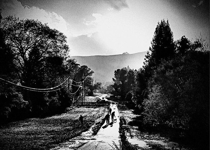 Black And White Greeting Card featuring the photograph The Dog Walkers by Brad Hodges