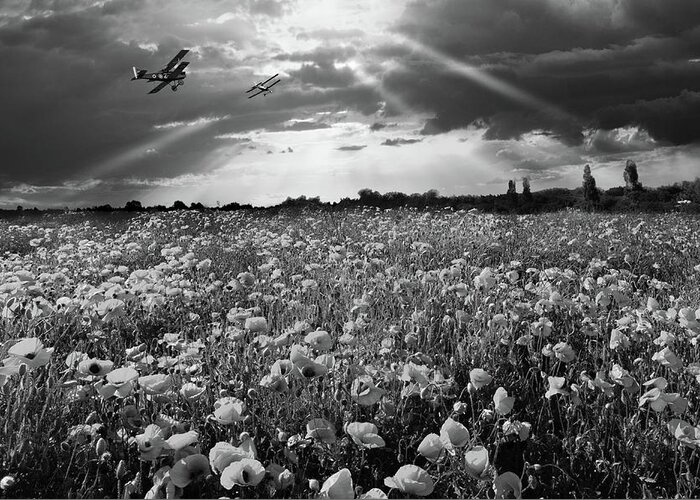 Sunset Poppy Flypast Greeting Card featuring the photograph The final sortie WWI black and white version by Gary Eason