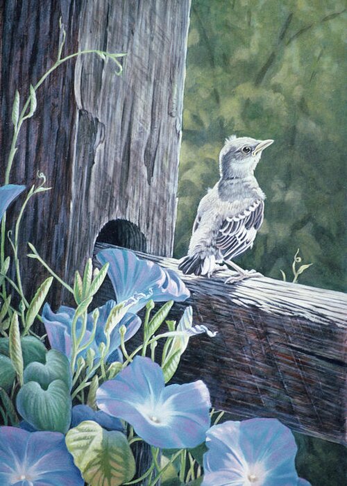 Young Mockingbird On A Fence Post By Morning Glories Greeting Card featuring the painting The Fledgling - Young Mockingbird by Wilhelm Goebel