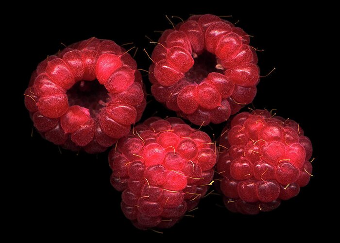 Black Background Greeting Card featuring the photograph The Four Raspberries by Photograph By Magda Indigo