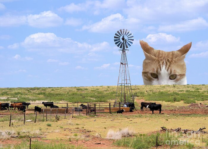 Cat Greeting Card featuring the photograph The Giant Tabby Stalks His Prey by MM Anderson
