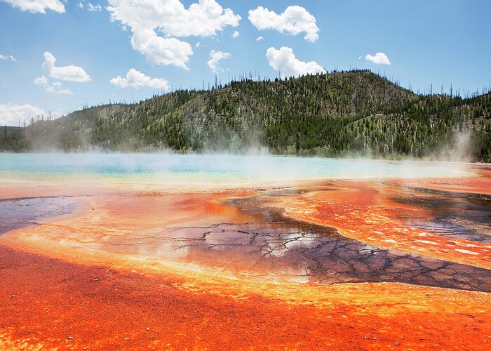 Scenics Greeting Card featuring the photograph The Grand Prismatic In The Spring Time by Davemantel