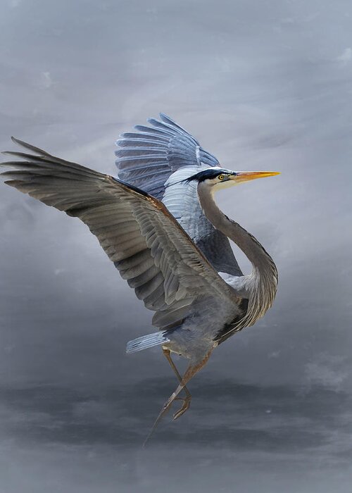 Nature Greeting Card featuring the photograph The Great Blue Heron by Krystina Wisniowska
