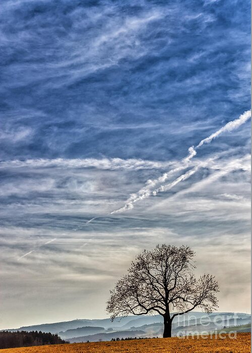 Hegau Greeting Card featuring the photograph Lonely Tree in the Sky by Bernd Laeschke