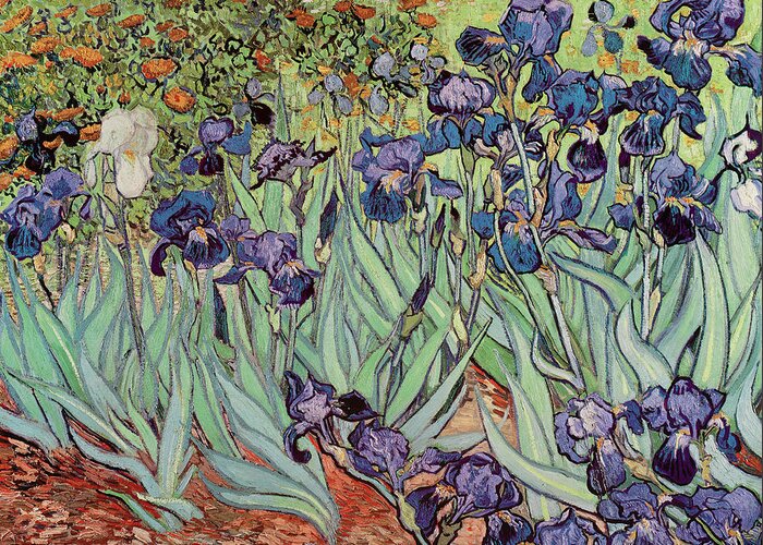 The Iris Greeting Card featuring the painting The Iris, 1889 by Masters Collection