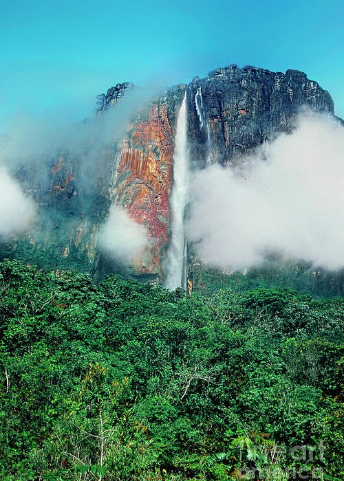 Dave Welling Greeting Card featuring the photograph The Jungle Surrounds Angel Falls And Tropical Rainforest Canaima Np Venezuela by Dave Welling