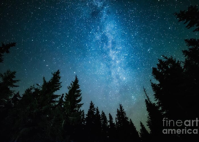 Magic Greeting Card featuring the photograph The Milky Way Rises Over The Pine Trees by Andrey Prokhorov