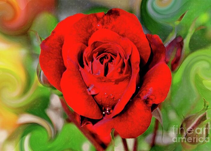 Rose Greeting Card featuring the digital art The One by Bill King