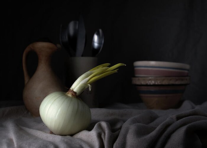 Onion Greeting Card featuring the photograph The Onion by Tom Mc Nemar