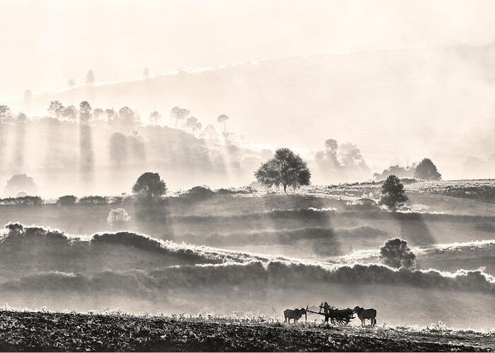 Landscape Greeting Card featuring the photograph The Ox-driver by Lou Urlings