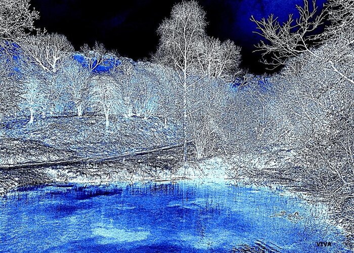 Trees Greeting Card featuring the photograph The Pond in Winter.  by VIVA Anderson