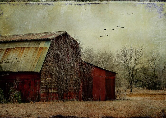 Red Barn Greeting Card featuring the photograph The Red Barn by Barbara Simmons