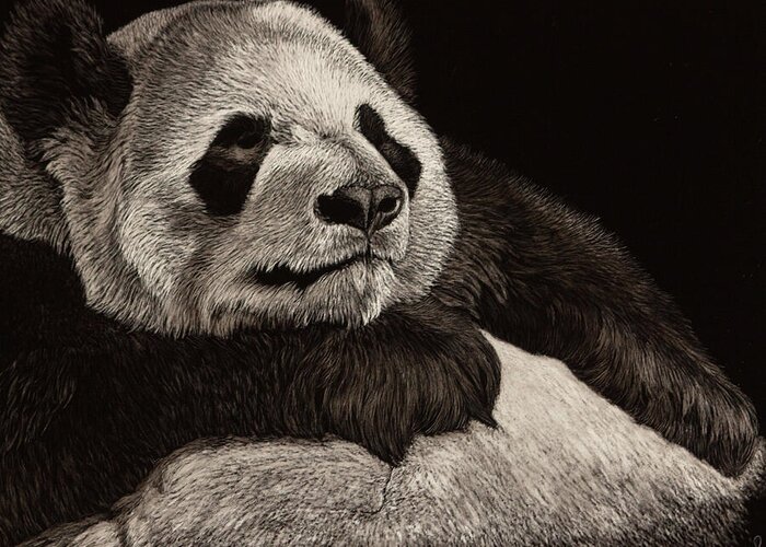 Panda Greeting Card featuring the painting The Slouch by Margaret Sarah Pardy