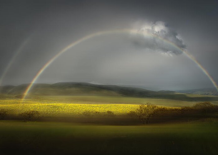 Rainbow Greeting Card featuring the photograph The Spring Bliss by Shenshen Dou