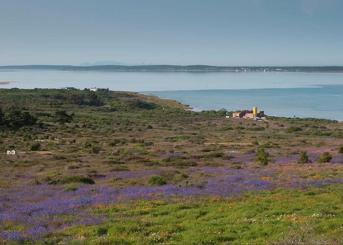 Scenics Greeting Card featuring the photograph The View From Langebaan Town Towards by Anthony Grote