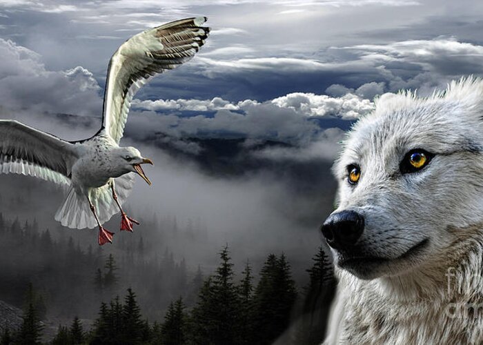 Wolf Greeting Card featuring the photograph The Wolf and the Gull by Kira Bodensted