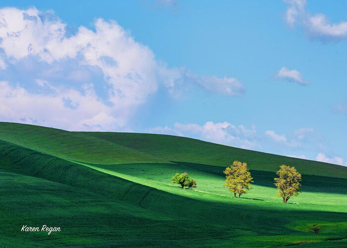 Palouse Greeting Card featuring the photograph Three Little Trees Sitting On A Hill by Karen Regan