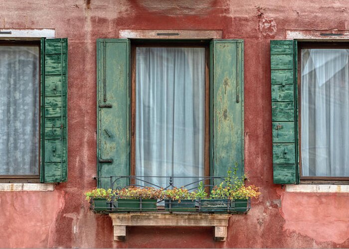 Venice Greeting Card featuring the photograph Three Windows with Green Shutters of Venice by David Letts