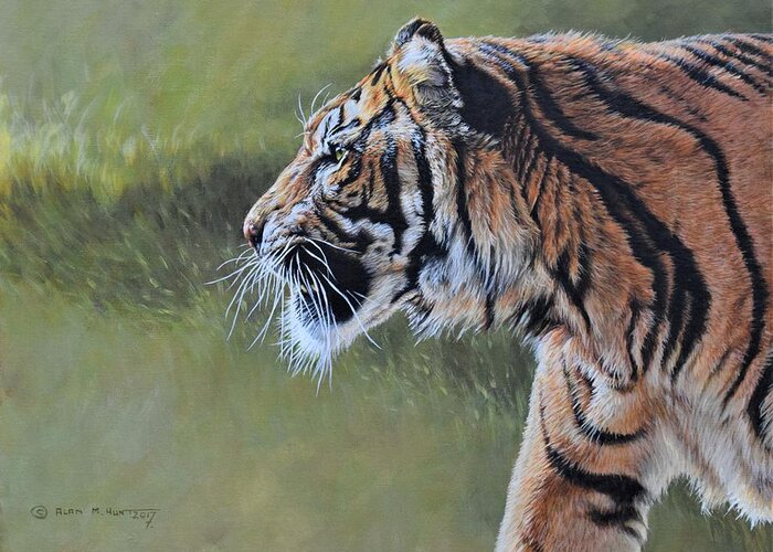 Paintings Greeting Card featuring the painting Tiger Portrait by Alan M Hunt by Alan M Hunt
