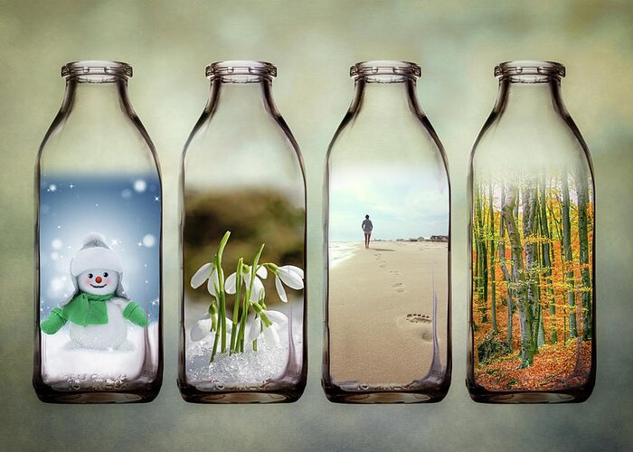 Seasons Greeting Card featuring the photograph Time in a Bottle - The Four Seasons by Tom Mc Nemar