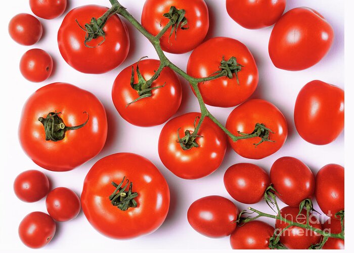 Foodstuff Greeting Card featuring the photograph Tomatoes by Martyn F. Chillmaid/science Photo Library