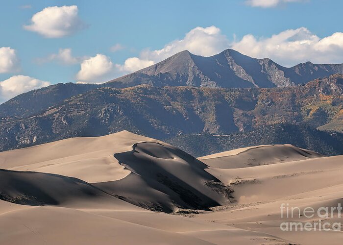 Dunes Greeting Card featuring the photograph Transitions by Jim Garrison