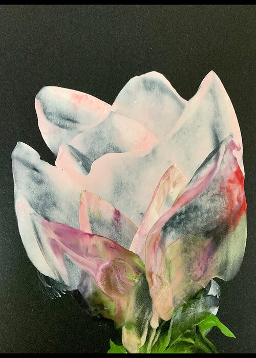White Tulip Greeting Card featuring the painting Transparent Tulip by Tommy McDonell