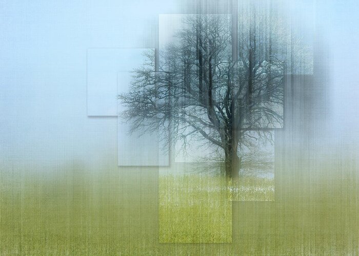 Photography Greeting Card featuring the digital art Tree Views by Terry Davis