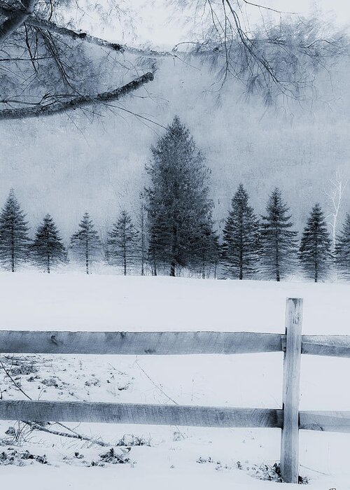  Greeting Card featuring the photograph Trees in Frost Valley by Tom Romeo