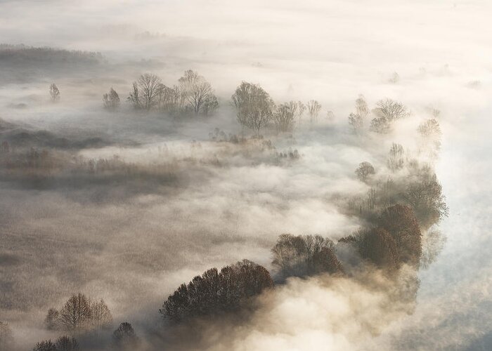 Trees Greeting Card featuring the photograph Trees In The Fog by Marco Galimberti