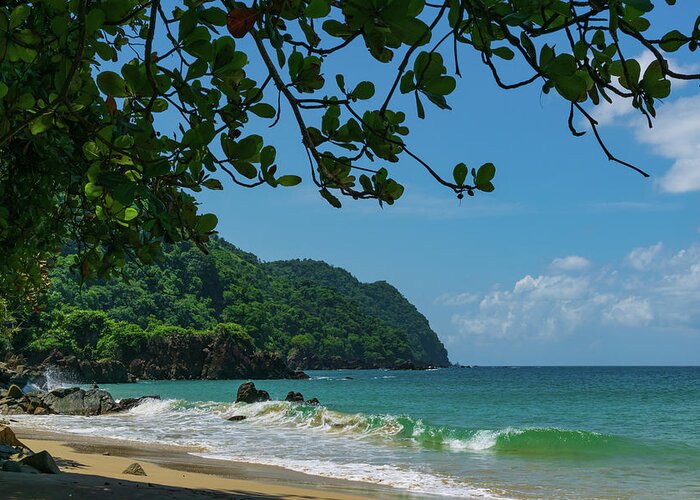 Caribbean Greeting Card featuring the photograph Tropical Beach on Castara Bay by Liz Albro