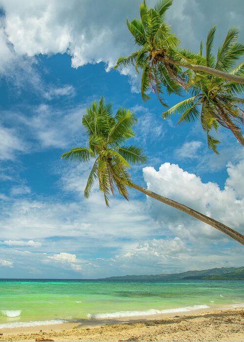 00581352 Greeting Card featuring the photograph Tropical Beach, Siquijor Island, Philippines by Tim Fitzharris