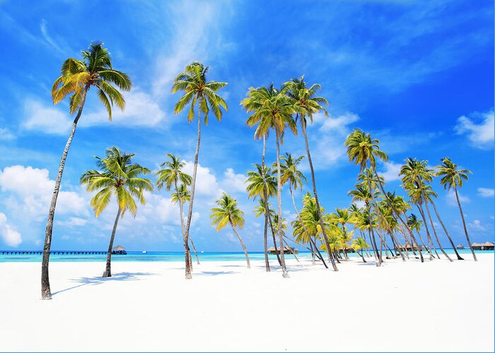 Scenics Greeting Card featuring the photograph Tropical Paradise In Maldives by Skynesher